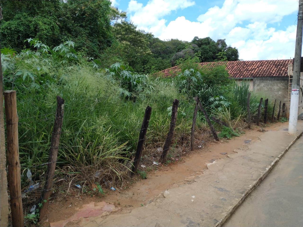 Parlamentar cobra notificação de donos de lotes abandonados