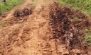 Vereador cobra melhorias de estradas no Lambança